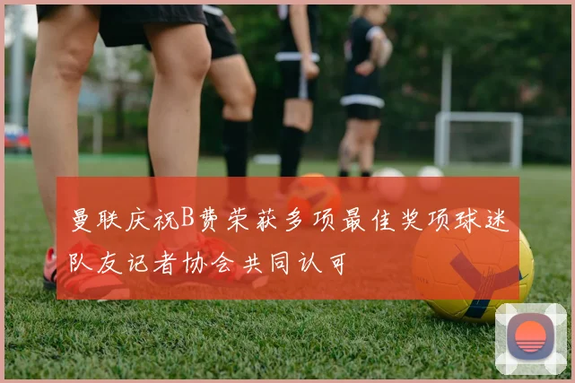 曼联庆祝B费荣获多项最佳奖项球迷队友记者协会共同认可