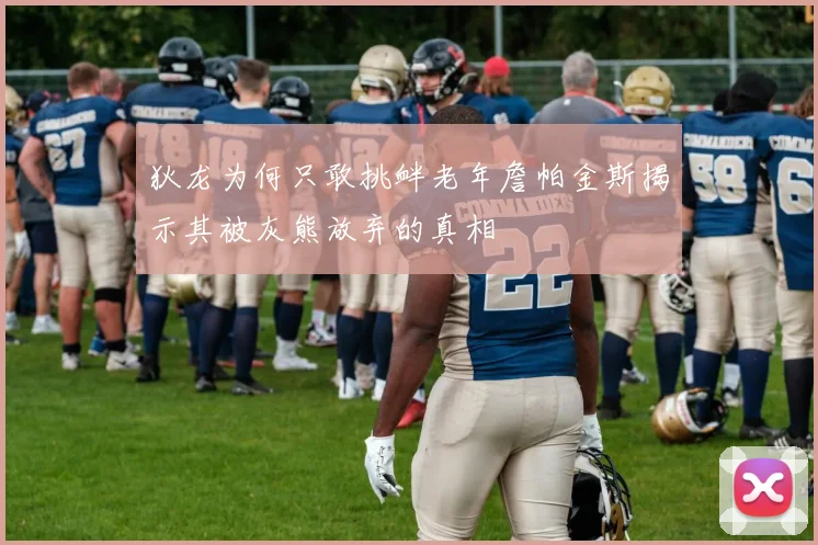 狄龙为何只敢挑衅老年詹帕金斯揭示其被灰熊放弃的真相