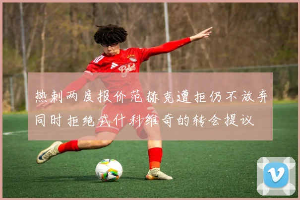 热刺两度报价范赫克遭拒仍不放弃同时拒绝武什科维奇的转会提议