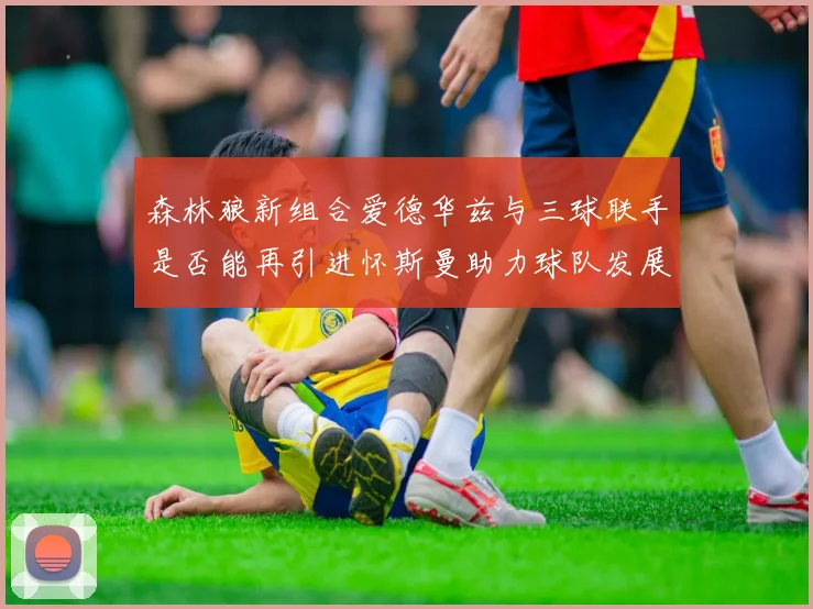 森林狼新组合爱德华兹与三球联手是否能再引进怀斯曼助力球队发展